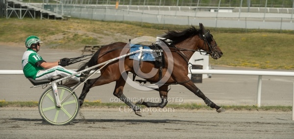 Standardbred Racing