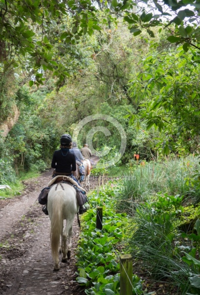 Riding at Hacienda La Alegria
