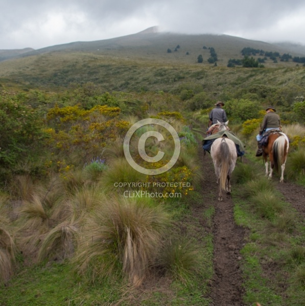 In the Paramo  on the Way to Bomboli