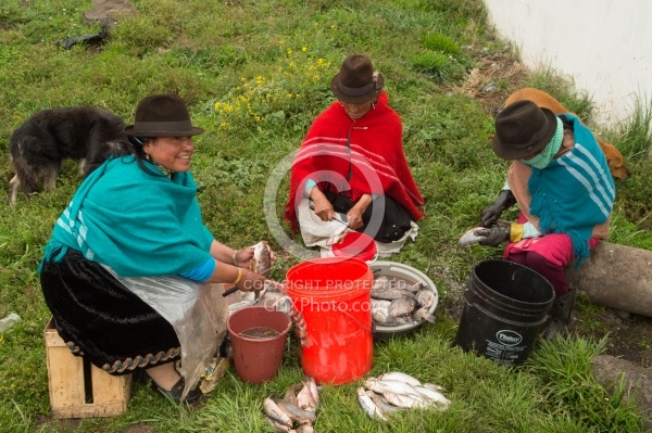 Ecuadorian Women Cleaning Fish