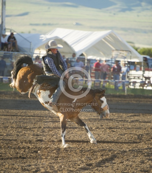 Bucking Bronco