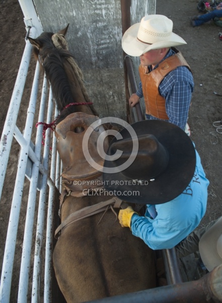 Broncos in the Chute