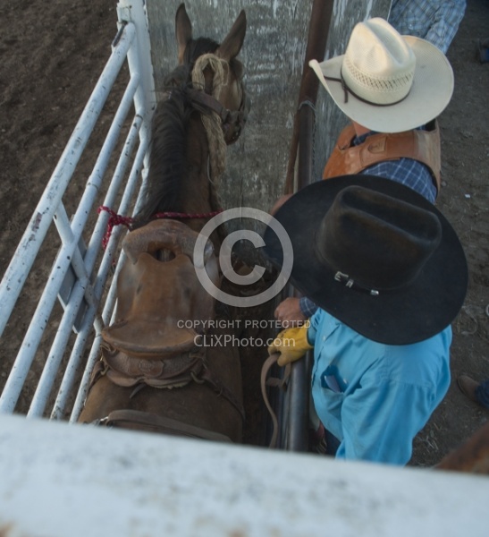 Broncos in the Chute