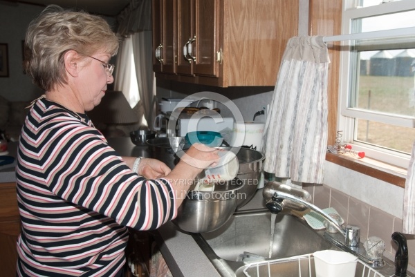 Feeding an Orphaned Foal