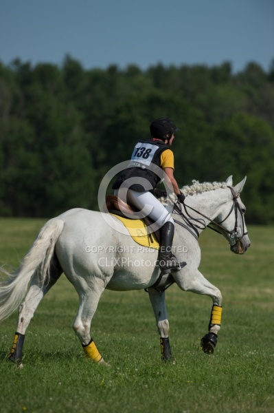 Leg Protection Eventing