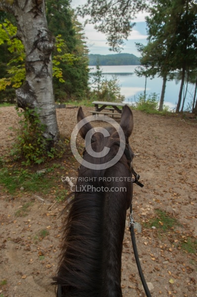 Voyageur Bay Horse Country Campground