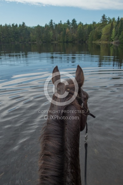 Voyageur Bay Horse Country Campground