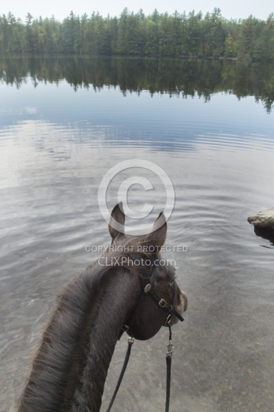 The View of Voyageur Bay from Bailey Boy at Horse Country Campgr