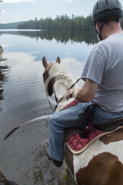 Joe and Major Checking out the Water at Voyageur Bay at Horse Co