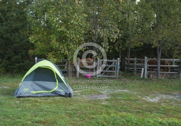 Basic Horse Camping