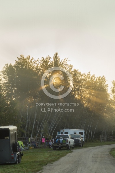 The Morning Light Filtering Through the Trees at  Horse Country
