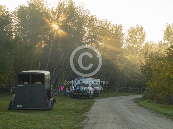 The Morning Light Filtering Through the Trees at  Horse Country