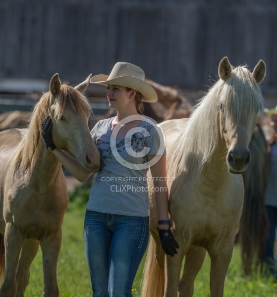 Mare and Foal with Owner