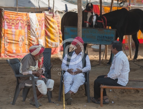 The Camel Festival in Pushkar