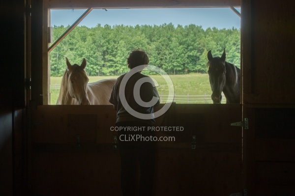 Home Horse Keeping General