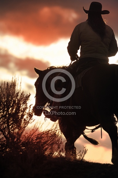 Trail Riding Western