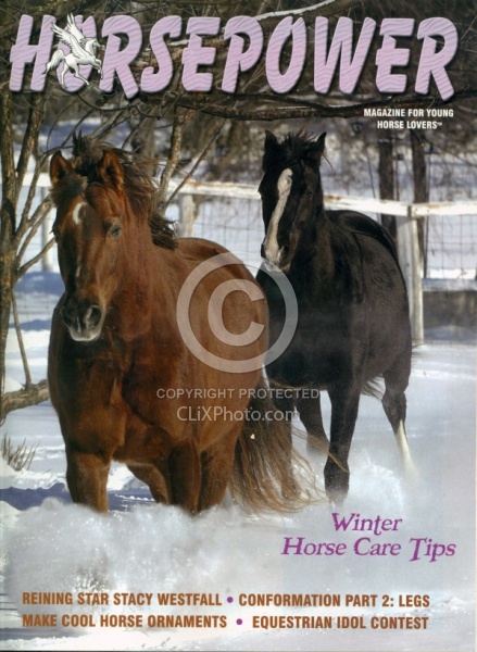Horse Power Nov Dec 2011