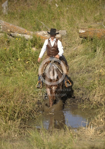 Wild Deuce Working Mountain Horse Competition