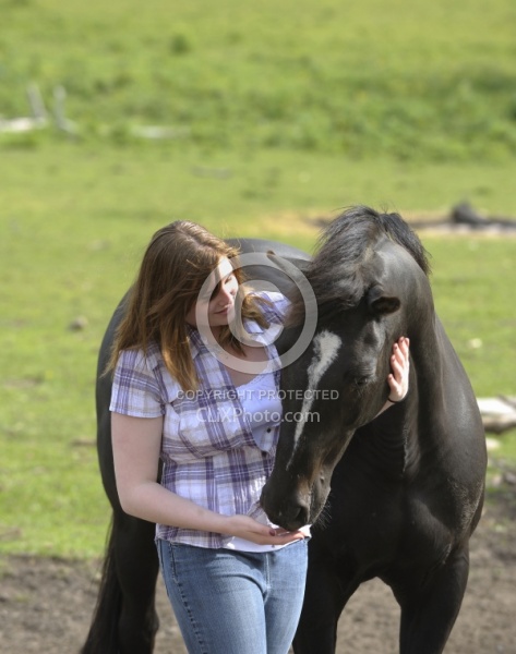 Horse and Human Bond Quarter Horse