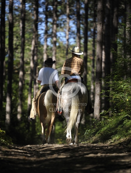 Trail Riding Western