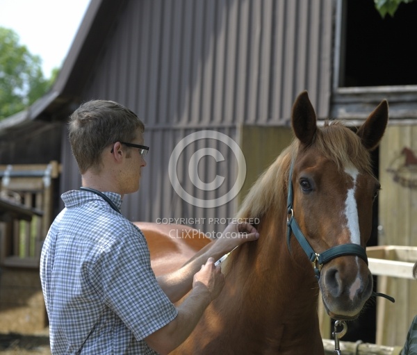 Vet Giving Vaccinations