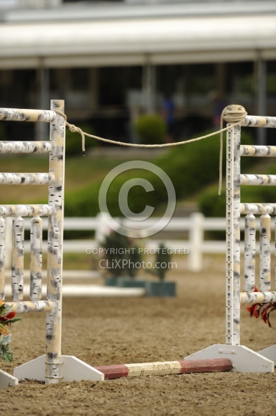 The Rope Gate in Trail Class