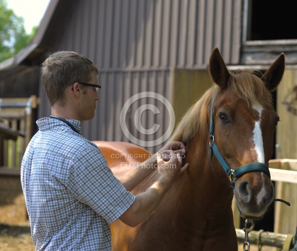 Vet Visit Vet giving Vacc