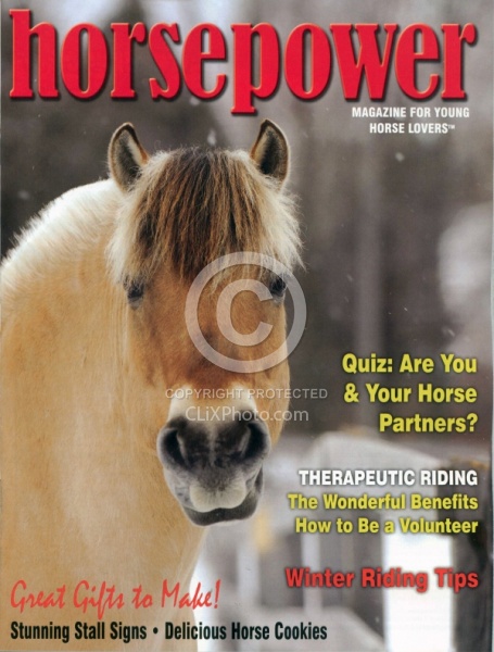 Horse Power Nov Dec 2012