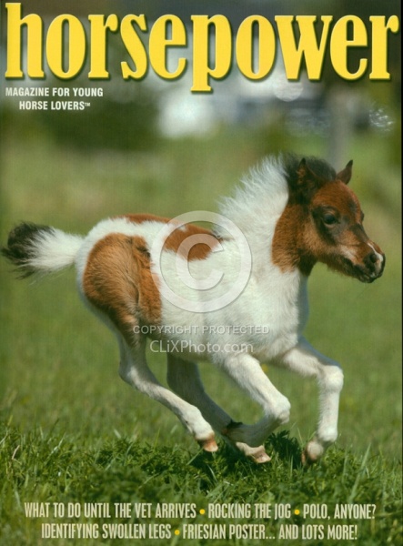 Horse Power July August 2013 Cover
