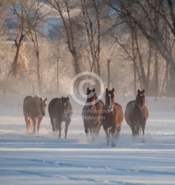 Hideout Ranch Winter Workshop Winter