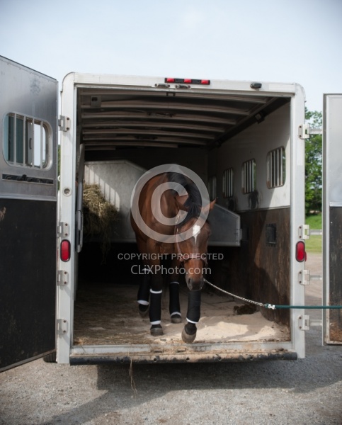 Unloading from Trailer, Step up Trailer